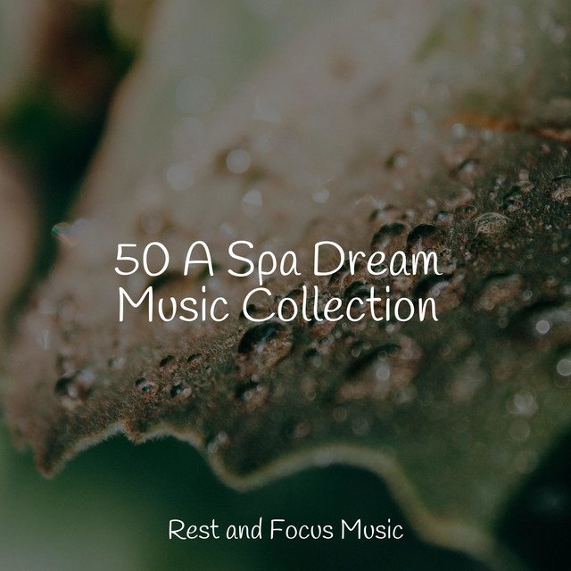 50 A Spa Dream Music Collection - Album by Spa Music Collective | Spotify