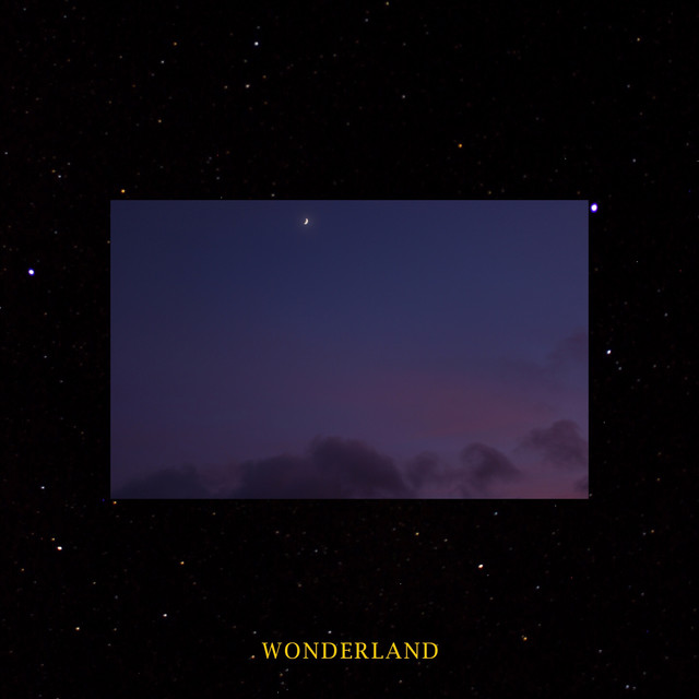 Wonderland - Single by Youngamarxk | Spotify