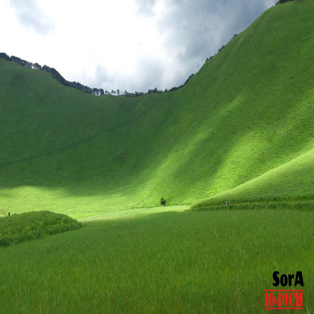SorA cover art