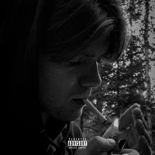 Tout ce que j'ai jamais dit, Vol. 1 cover art
