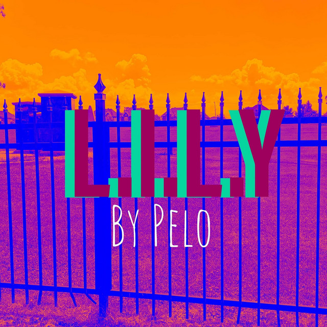 L.I.L.Y cover art