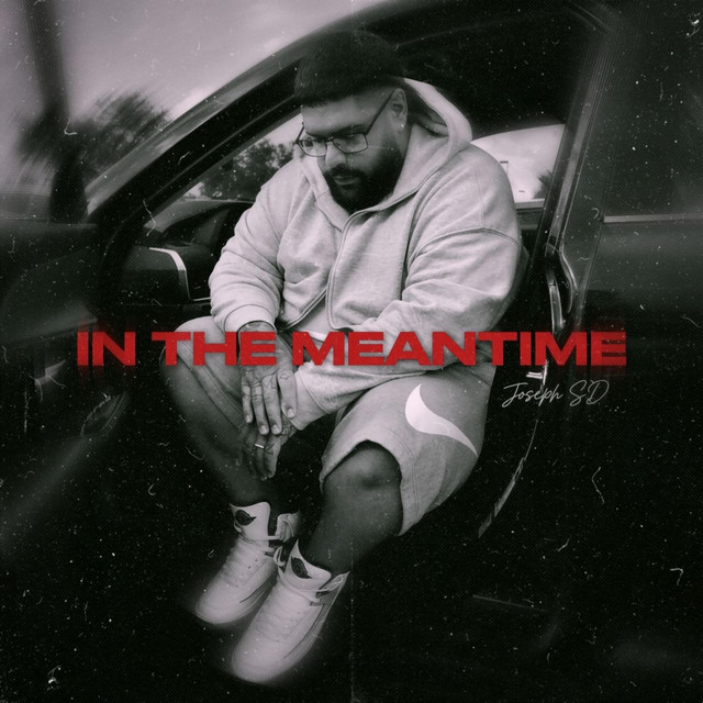 IN THE MEANTIME cover art