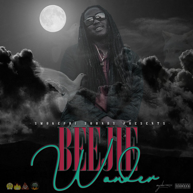 Beejie Wonder cover