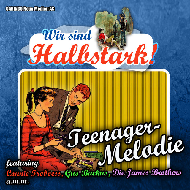 Teenager Melodie – Wir sind Halbstark cover
