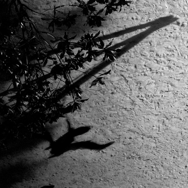 On The Nature Of Daylight