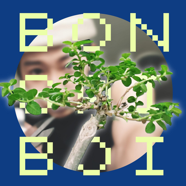 Bonsai Boi (บอกรักบ่อยๆ) cover art