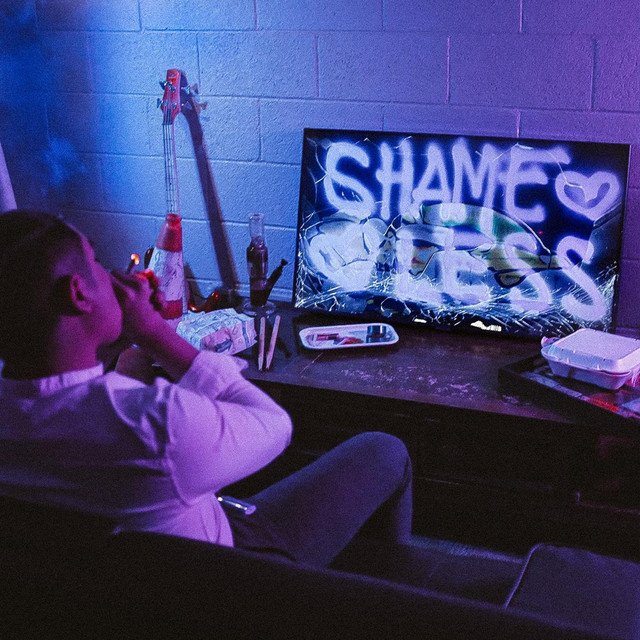 Shameless cover art