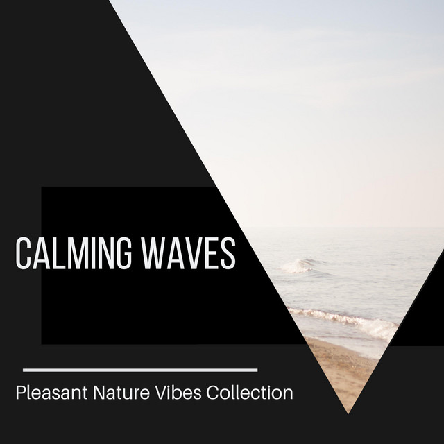 Calming Waves - Pleasant Nature Vibes Collection cover art