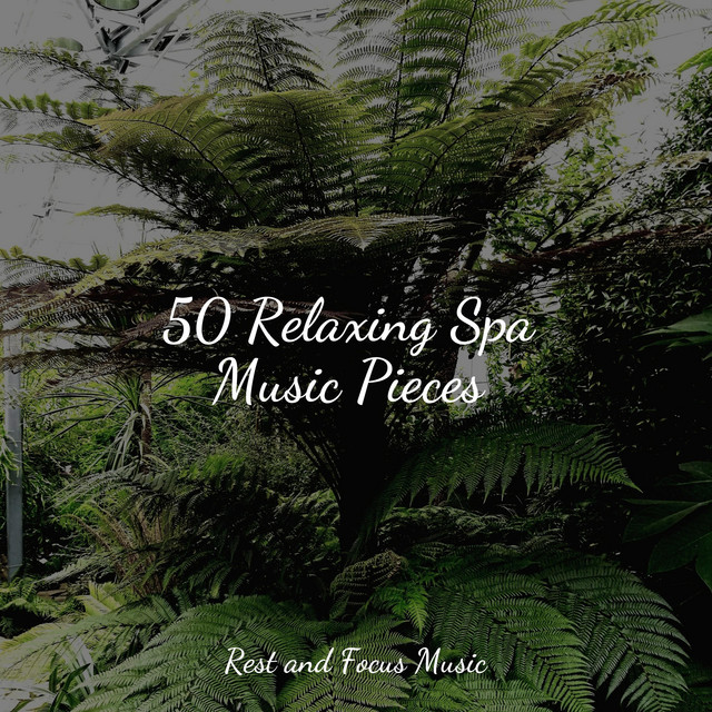 50 Relaxing Spa Music Pieces - Album by Bath Spa Relaxing Music Zone ...