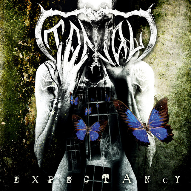 Expectancy cover art