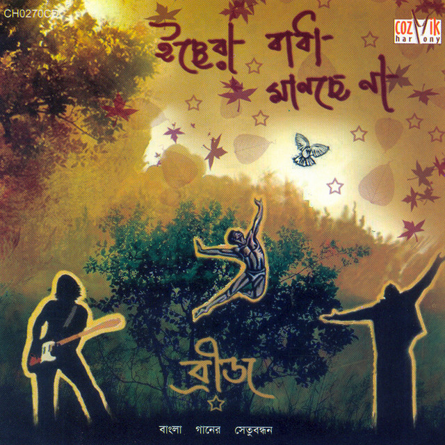 Bridge cover art
