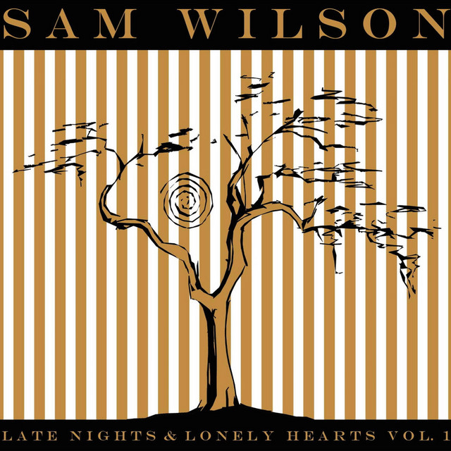 So Many Times cover art