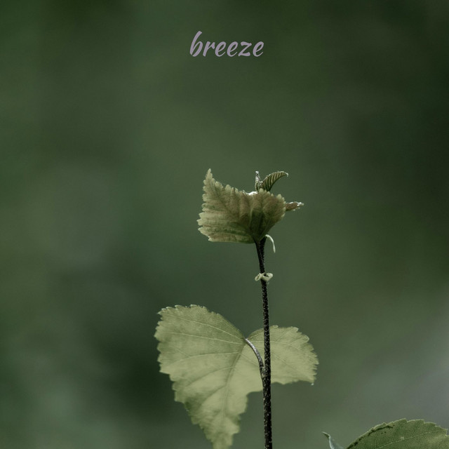 breeze