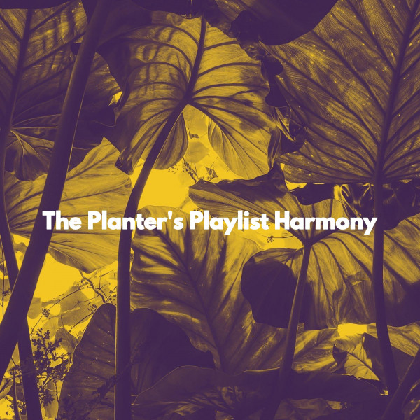 The Planter's Playlist Harmony cover art