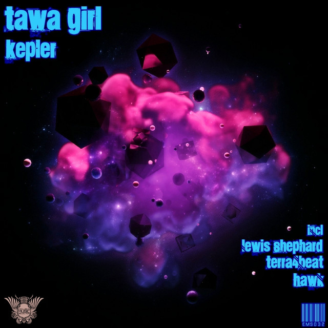 Kepler - Hawk Remix cover art