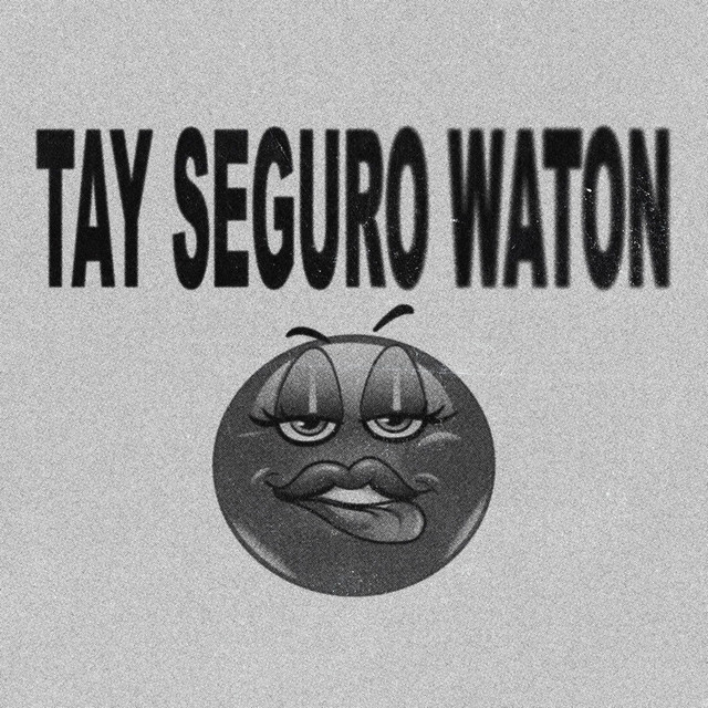 Tay Seguro Waton
