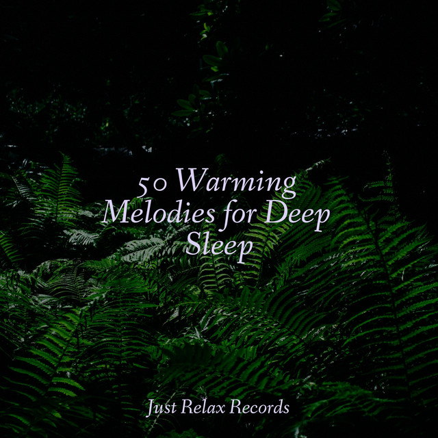 50 Warming Melodies for Deep Sleep - Album by Rising Higher Meditation ...