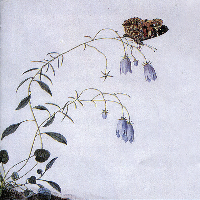 I. The Suicide Tree / II. A Rose From the Dead cover art
