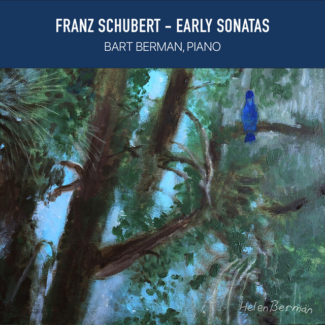 Franz Schubert - Early Sonatas cover art