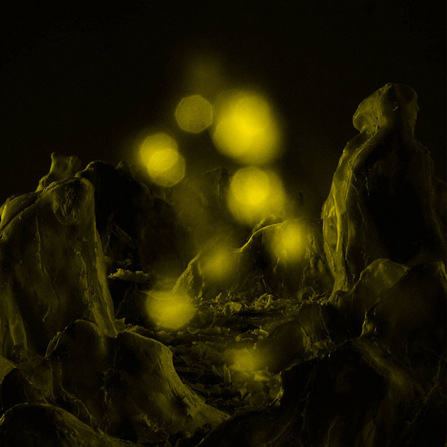 Black Tide cover art