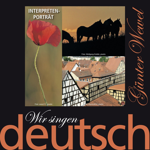 Wir singen deutsch - Interpreten-Porträt cover art