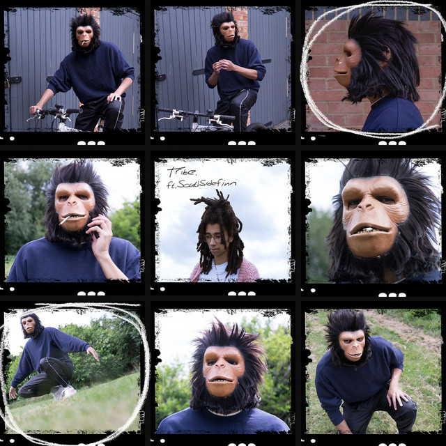 Tribe cover art