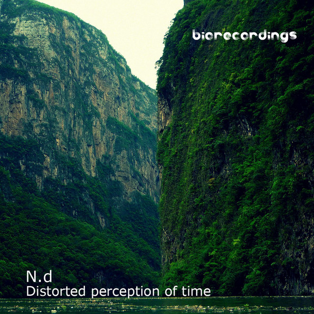 Distorted Perception Of Time cover art