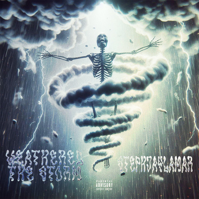 Weathered The Storm cover art