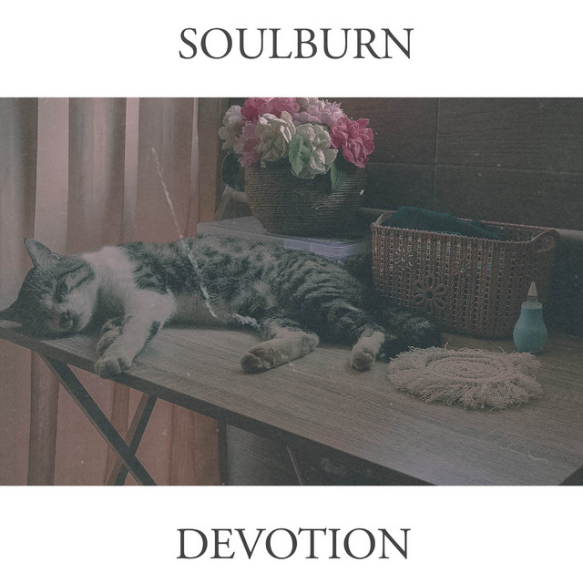 Devotion cover art