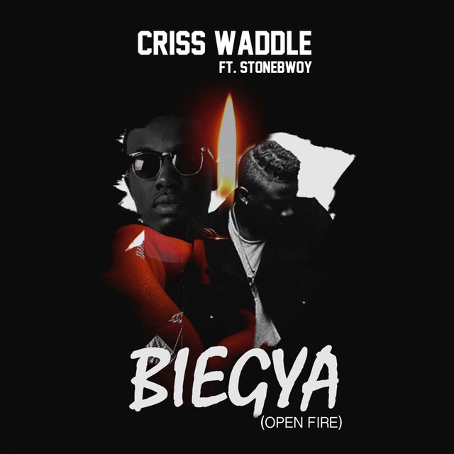 BieGya - Open Fire