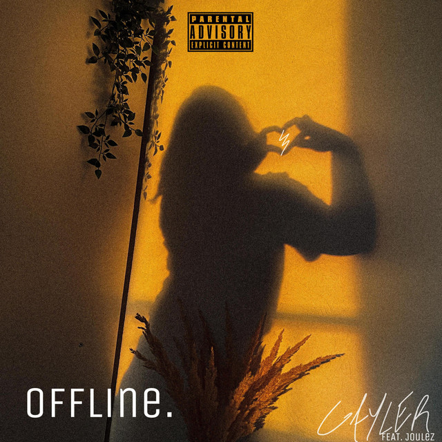 OFFLINE cover art