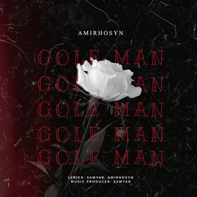 Amirhosyn