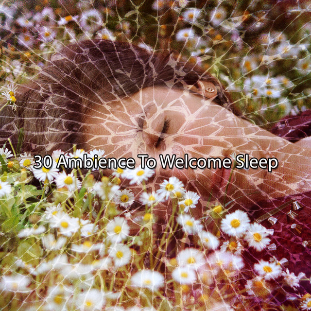 30 Ambience To Welcome Sleep - Album by Spa Relaxation & Spa | Spotify