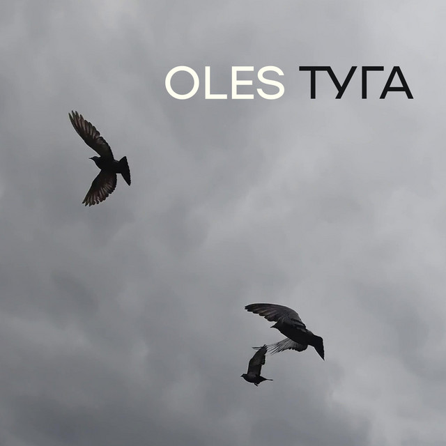 Обкладинка: Туга — Oles