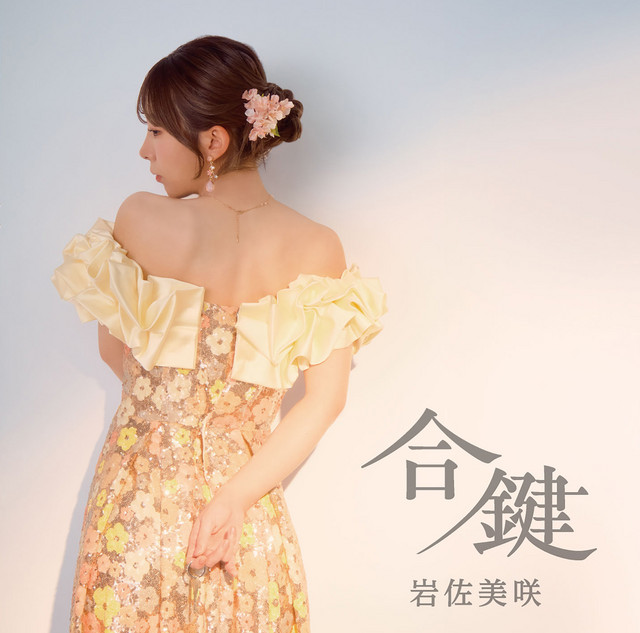 合鍵 Type-A cover