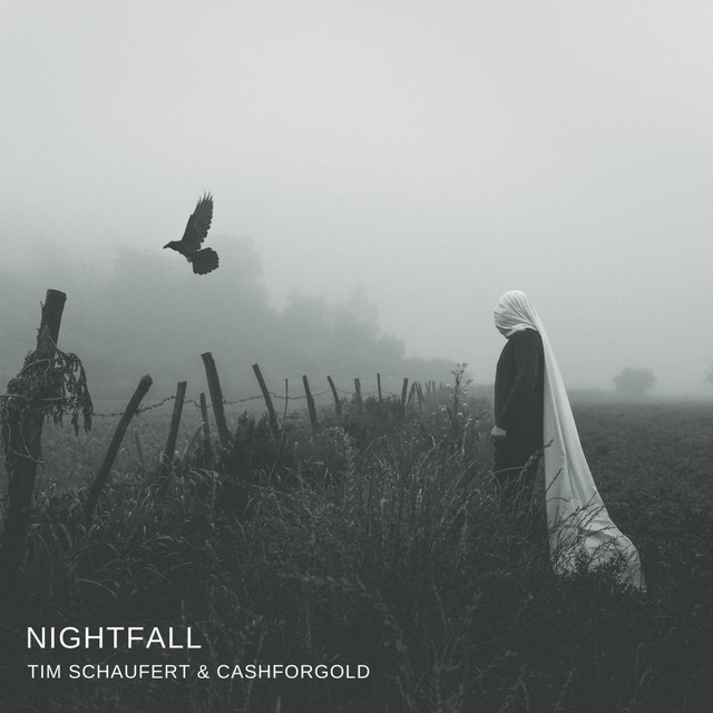 Tim Schaufert & Cashforgold Find The Light