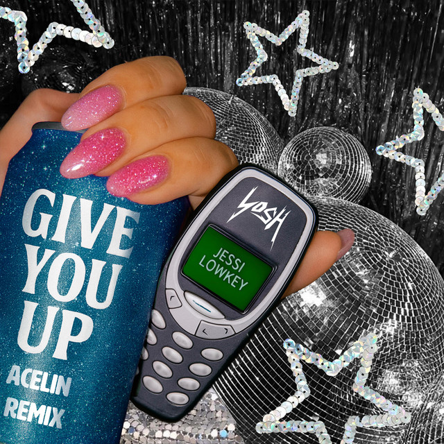 Give You Up - Acelin Remix