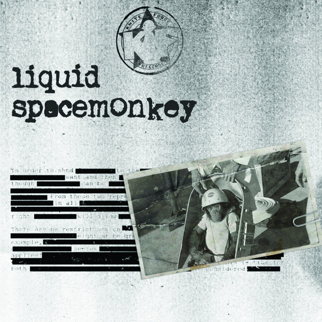 Spacemonkey cover art