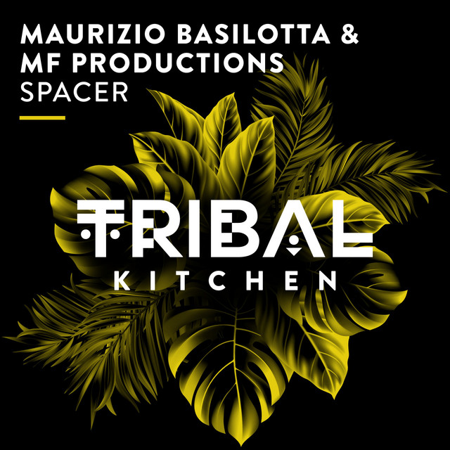 Spacer - Extended Mix album art