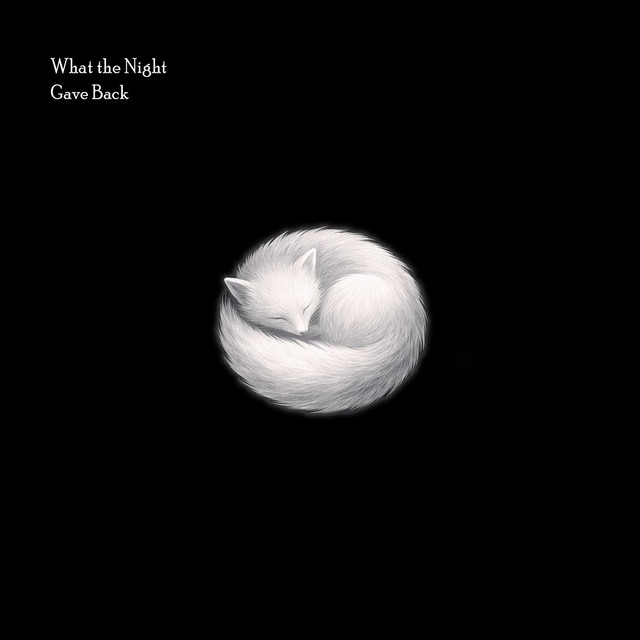 What the Night Gave Back cover