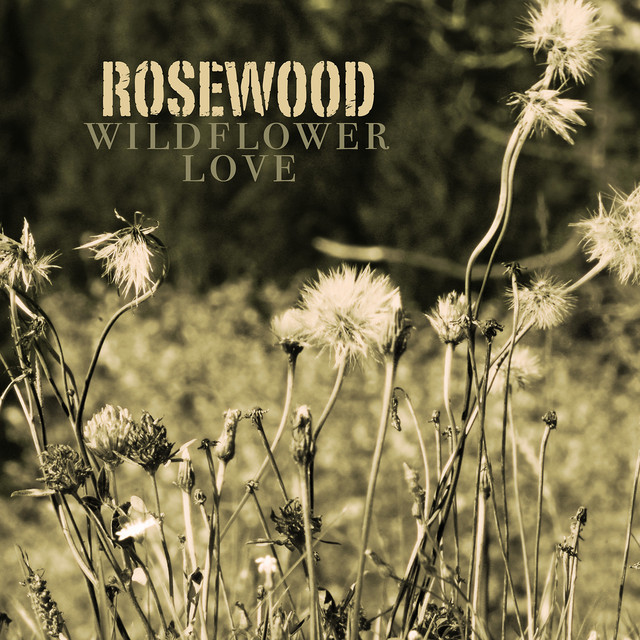Wildflower Love album image