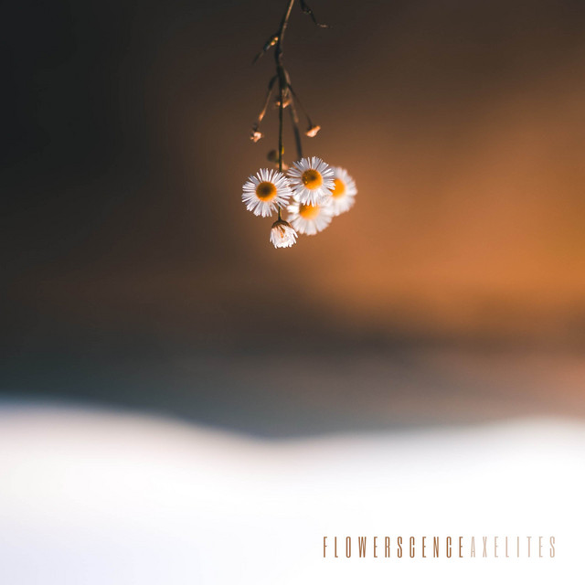 Flowerscence cover art
