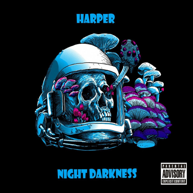 Night Darkness cover art