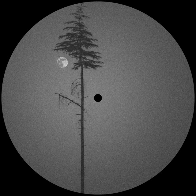 CQNZR. - Hevn