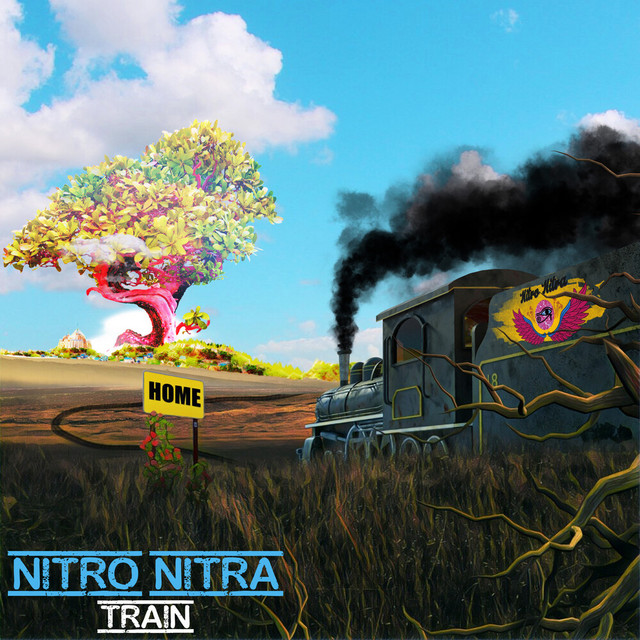 Train cover