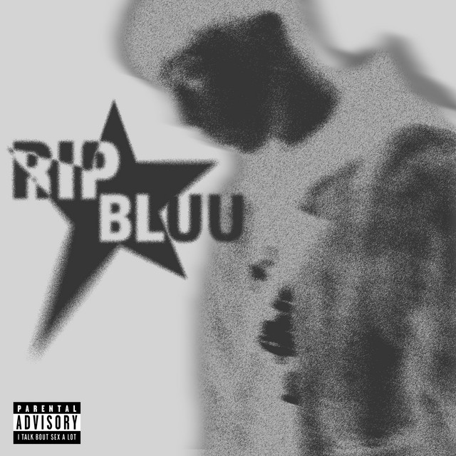 RIP BLUU cover art