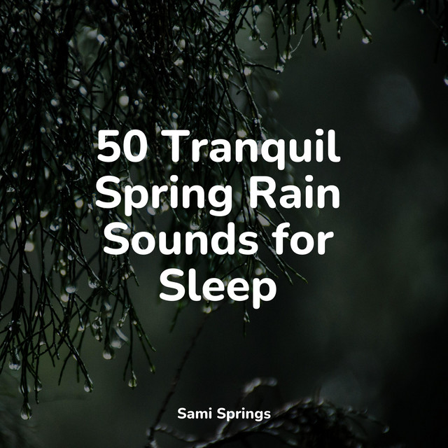 50 Tranquil Spring Rain Sounds for Sleep - Album by Deep Sleep FX | Spotify