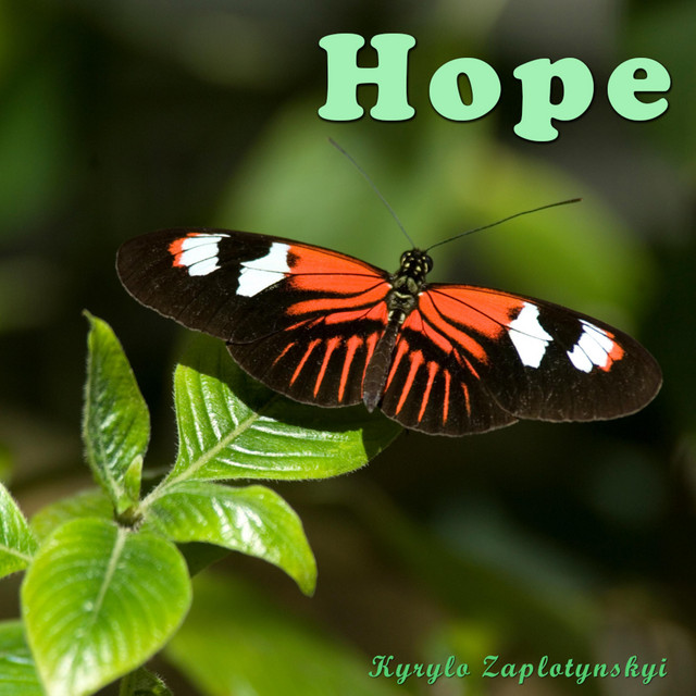 Обкладинка: Hope — Kyrylo Zaplotynskyi