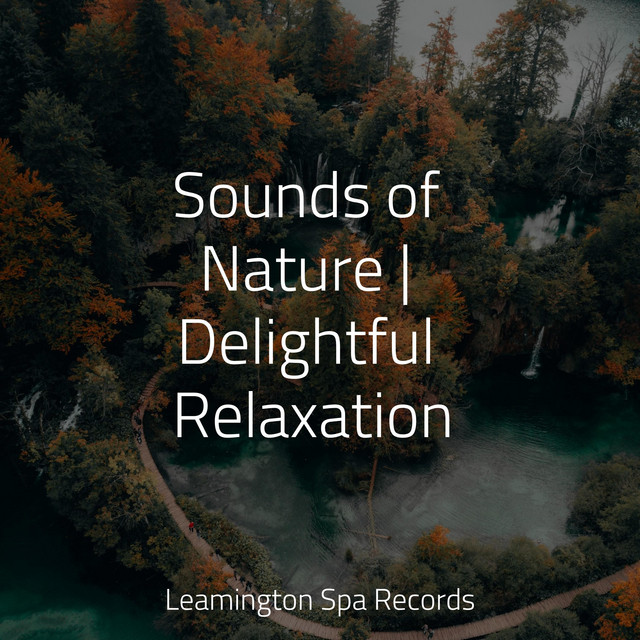 Sounds of Nature | Delightful Relaxation - Album by Naturaleza Sonidos ...