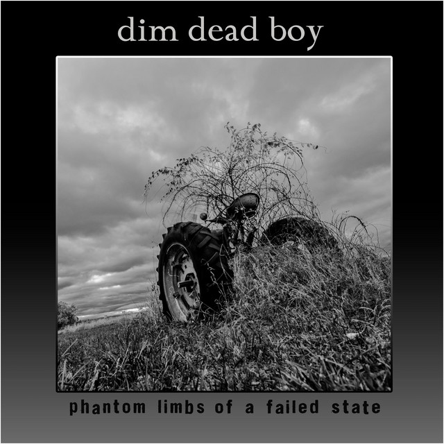 Phantom Limbs of a Failed State
